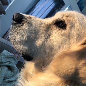 Meet your Posher, Deborah